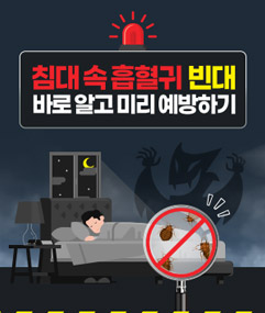 침대 속 흡혈귀 빈대 바로 알고 미리 예방하기