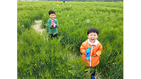 박경주(누가 누가 더 푸른가)