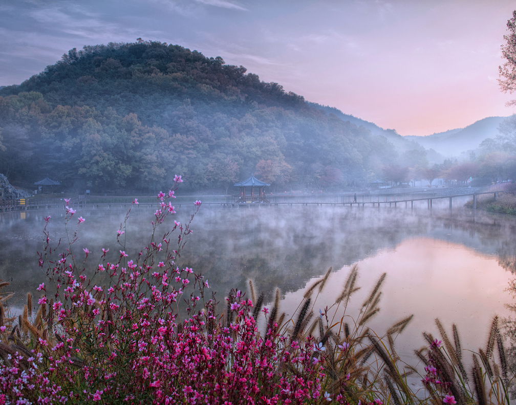 정하완(운암수변공원의 새벽아침)