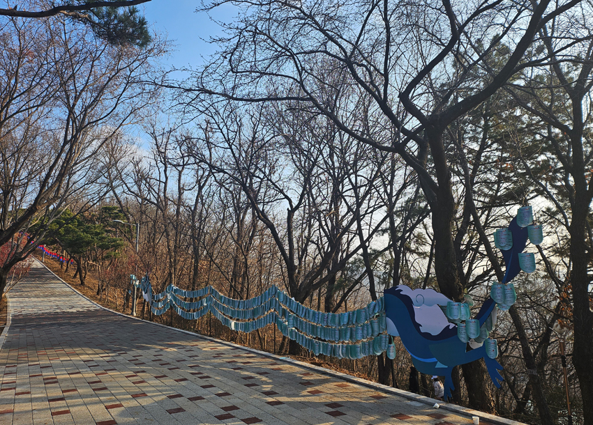 해맞이행사 관련 이미지